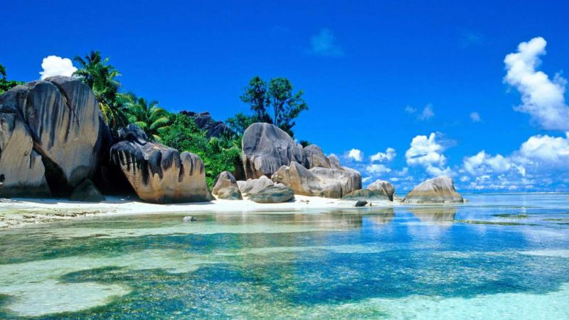 ảnh đối tác